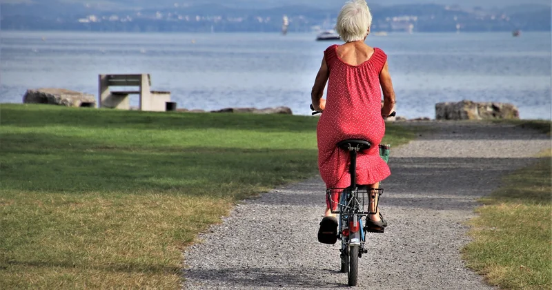 Les activités réglementées : le cas particulier
